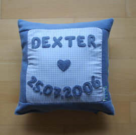 Kissen_dexter001.jpg